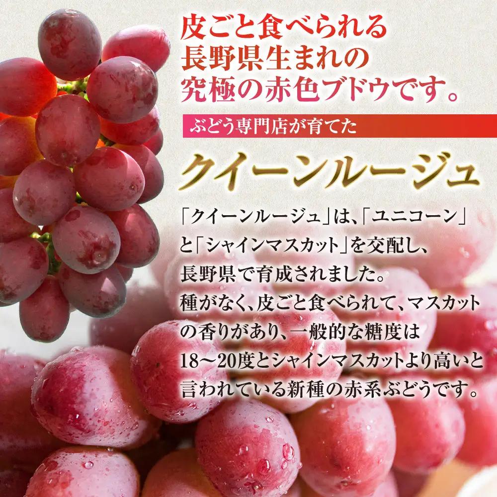 タマファーム　長野市産 クイーンルージュ 【秀品】2房  |ぶどう 葡萄 フルーツ 果物