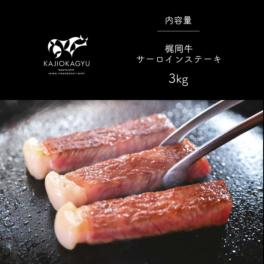 
            梶岡牛 サーロインステーキ 3kg ｜ グルメ  サーロイン ステーキ 牛肉 肉 にく 800g 冷凍 特産品 長期飼育 熟成 山口 美祢市 美祢
          