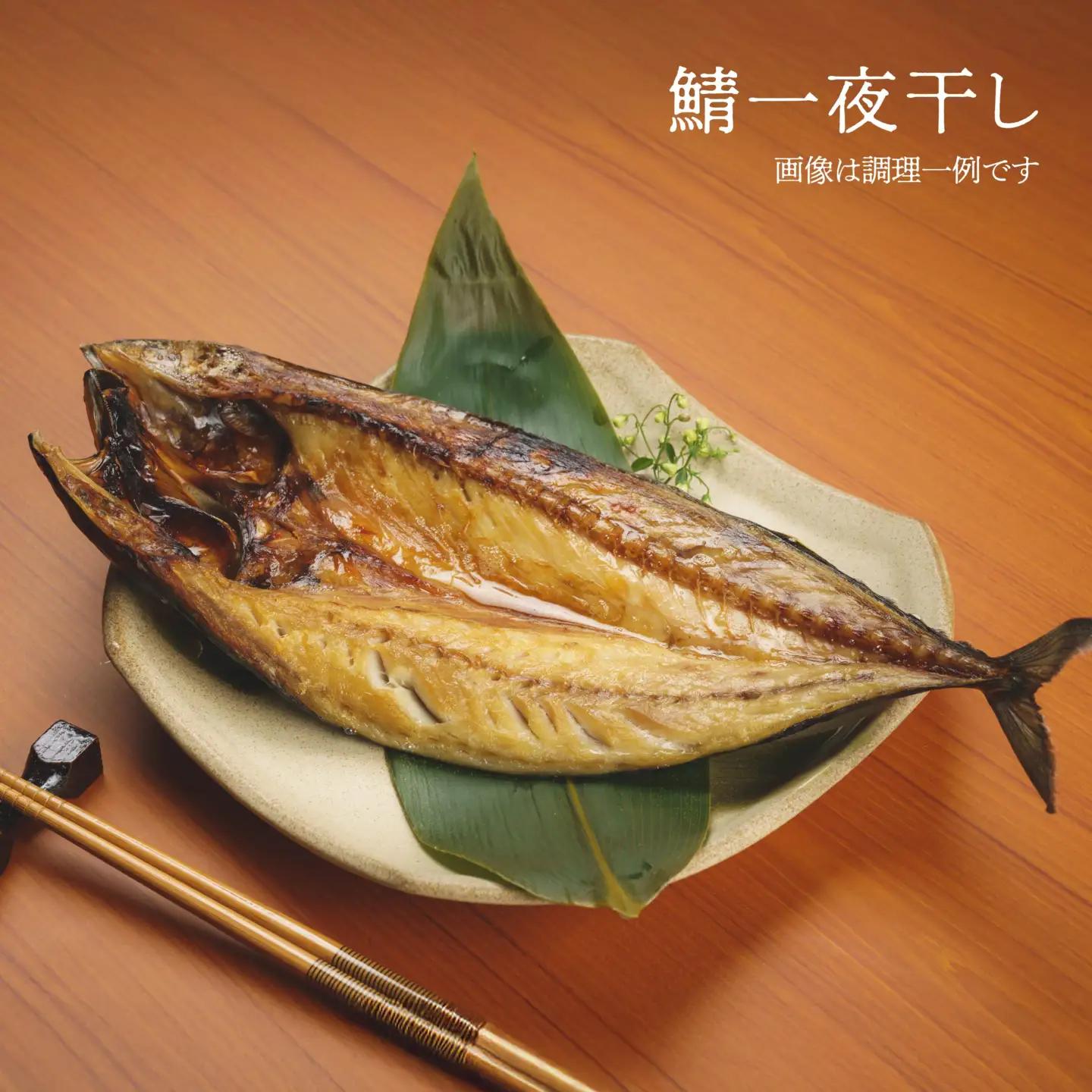 厳選 干物 セット イカ 鯖 真ホッケ オイランガレイ 一夜干し　