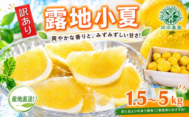 
                  【先行予約】【令和8年産】 小夏 1.5kg 3kg 5kg フルーツ 果物 みかん 期間限定 旬 柑橘 ギフト プレゼント 贈答用 こなつ 日向夏 ニューサマーオレンジ デザート スイーツ ジューシー 甘酸っぱい 爽やか 初夏 高知特産 季節の味覚 家庭用 自宅用 贈り物 お取り寄せ 産地直送 メリーガーデン 訳あり わけあり 家庭用  安芸市 高知県
                