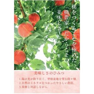先行受付!【2026年7月発送開始】桃の産地山梨からお届け　ピーチ専科ヤマシタの桃　3kg【配送不可地域：離島】【1707806】