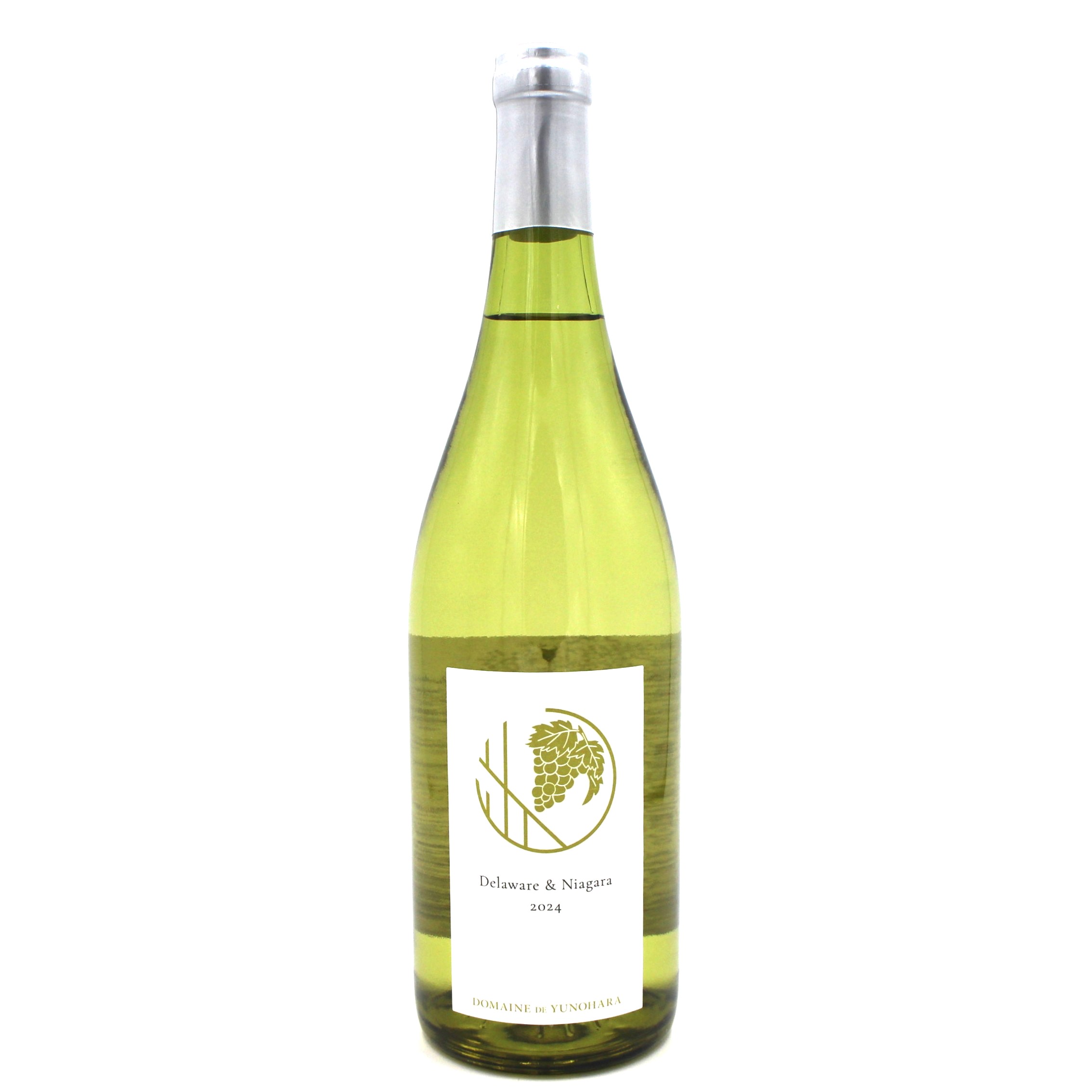 【ふるさと納税】Delaware ＆ Niagara 2024(デラウェア×ナイアガラ) 1本 750ml｜ワイン 信州 白ワイン 辛口 ぶどう デラウェア ナイアガラ 長野県 松本市 老舗 ワイナリー 定番 わいん 酒 おさけ さけ アルコール
