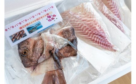 鯛 約2kg 2匹分 魚 鮮魚 ブランド 乙女鯛 半身 刺身 頭 骨 付き 新鮮 鯛めし 高知県 須崎市  鯛 鯛飯 鯛 カルパッチョ たい 酢ミカン 鯛 炙り タイ 昆布締め 鯛 塩焼き 鯛 塩釜焼