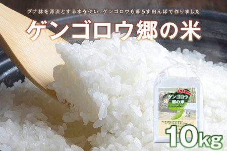 【先行予約】龍谷大学と共同開発／2025年産　京丹後産生物多様性米コシヒカリ「ゲンゴロウ郷の米」10kg箱入