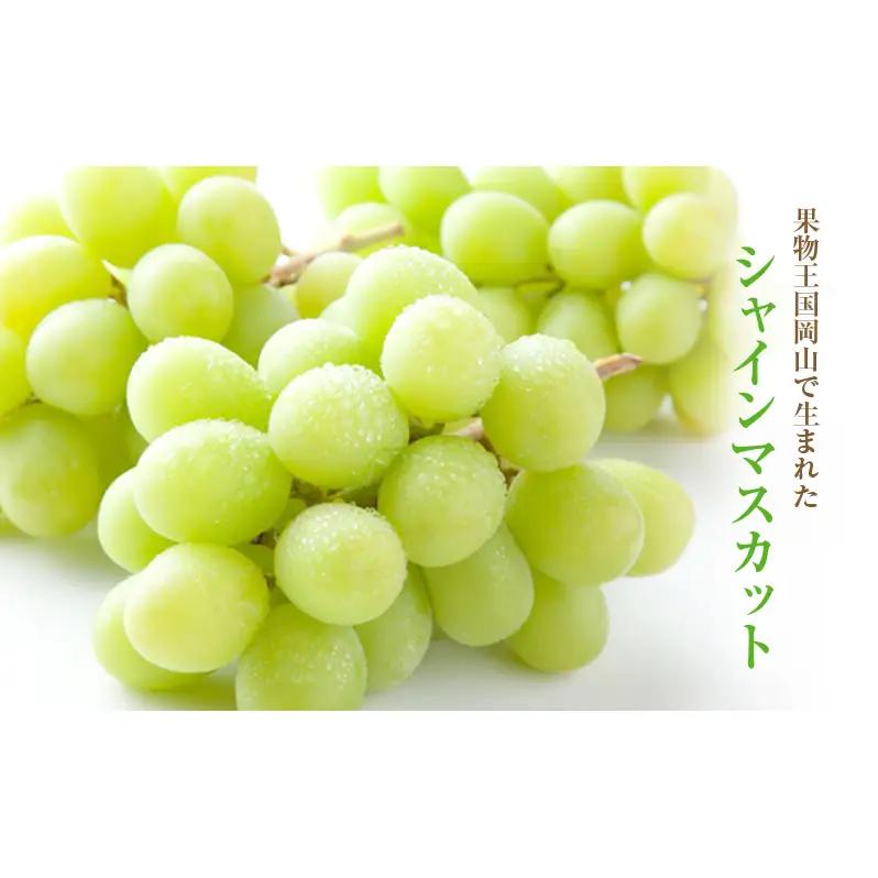 シャインマスカット ぶどう 訳あり 岡山県産 シャインマスカット【2房 約1kg】【冷蔵・先行予約】