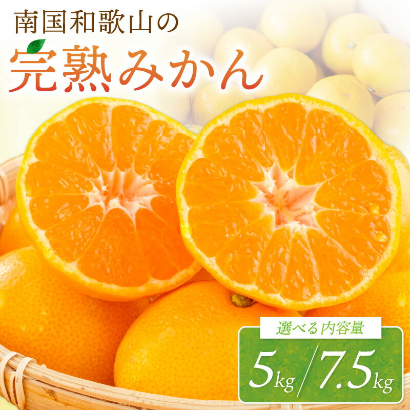 【ふるさと納税】南国和歌山の完熟みかん《先行予約》5kg 7.5kg みかん 蜜柑 完熟蜜柑 果物 くだもの フルーツ 和歌山【配送不可地域】離島