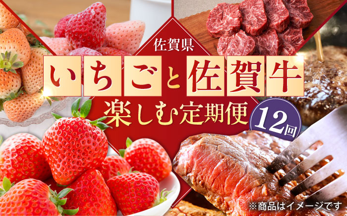 【全12回定期便】佐賀県の生産者を応援！いちごと佐賀牛を楽しむ定期便 / 白いちご いちご ステーキ ハンバーグ 切り落とし 佐賀牛 / 佐賀県ふるさと納税 [41AAZZ008]