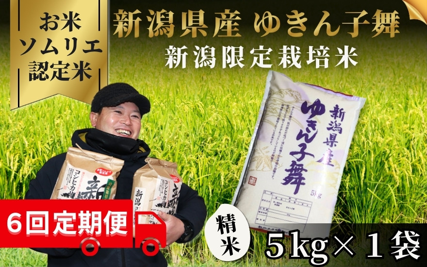 
                  【先行予約】【令和8年産】〈6回定期便〉 【お米ソムリエのお米】 ゆきん子舞 精米 5kg（5kg×1袋） 新潟県 五泉市 エバーグリーン農場
                