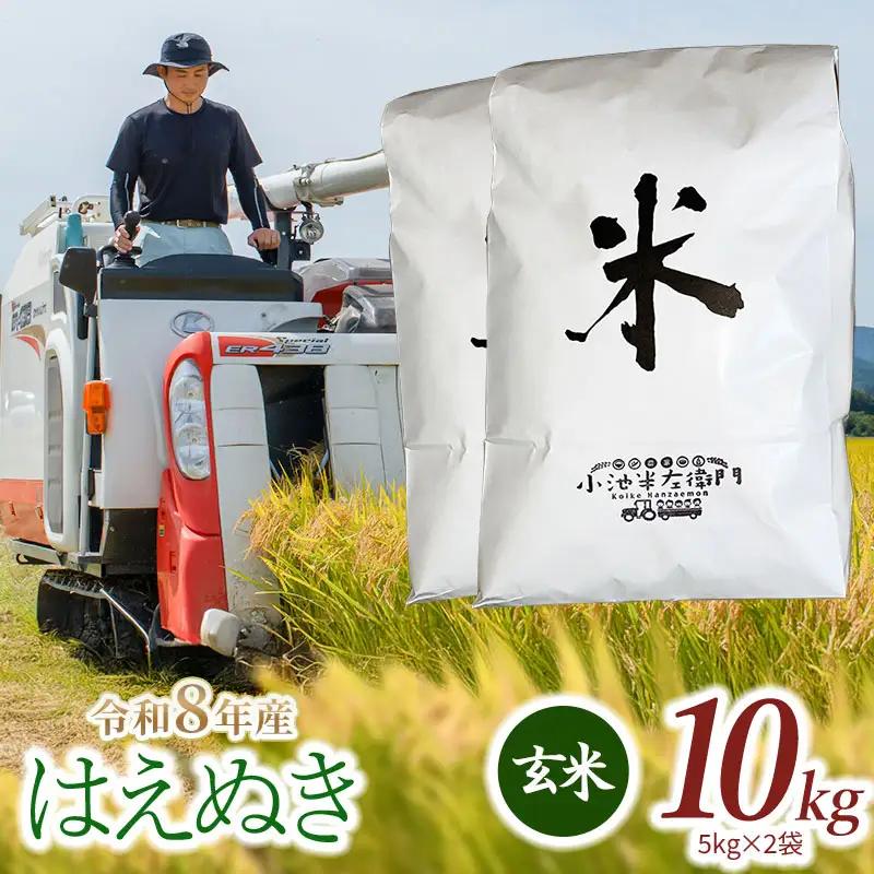 【令和8年産】 はえぬき 玄米 10kg (5kg×2袋) 山形県庄内産 小池半左衛門