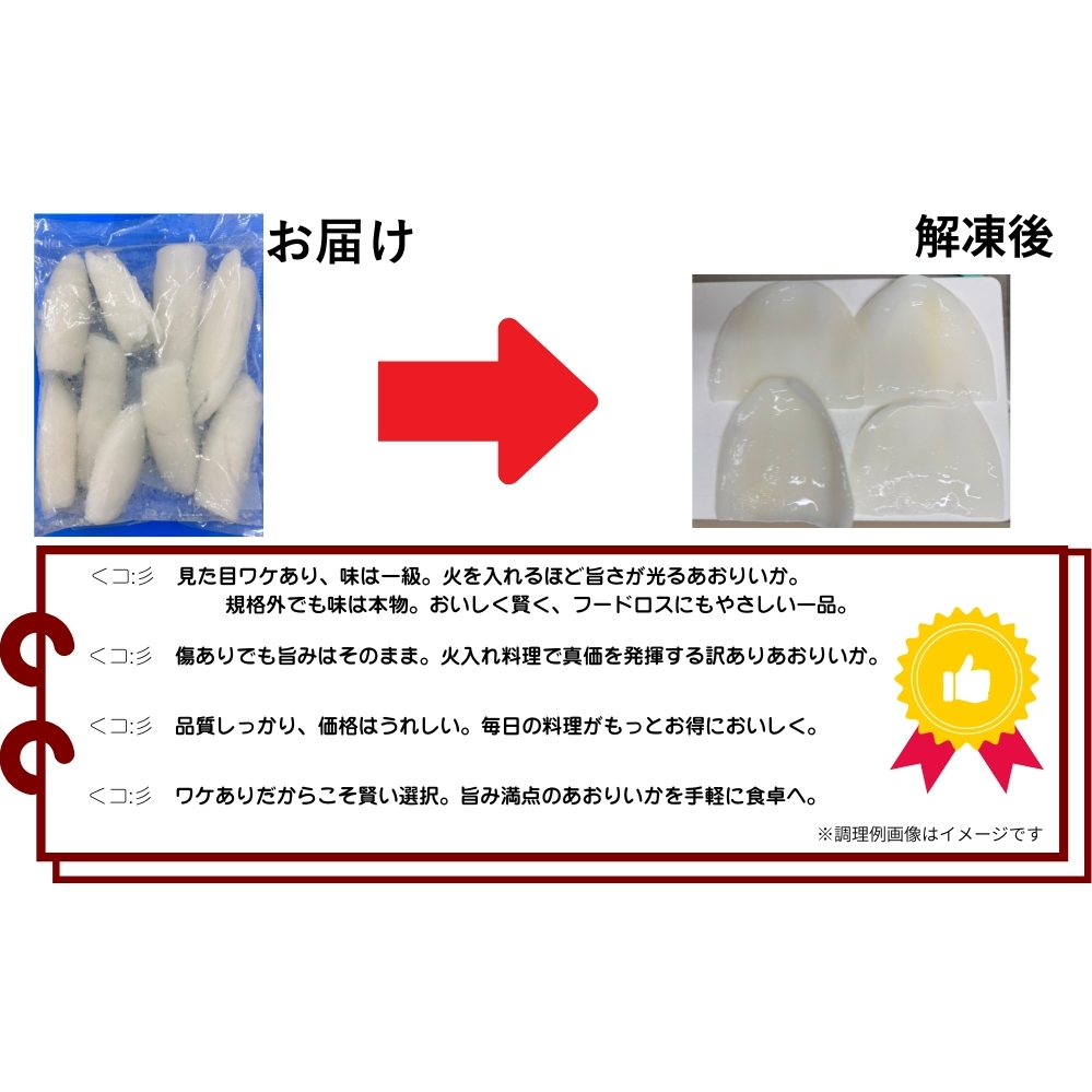 【訳アリ】アオリイカむき身（不揃い）_イメージ2