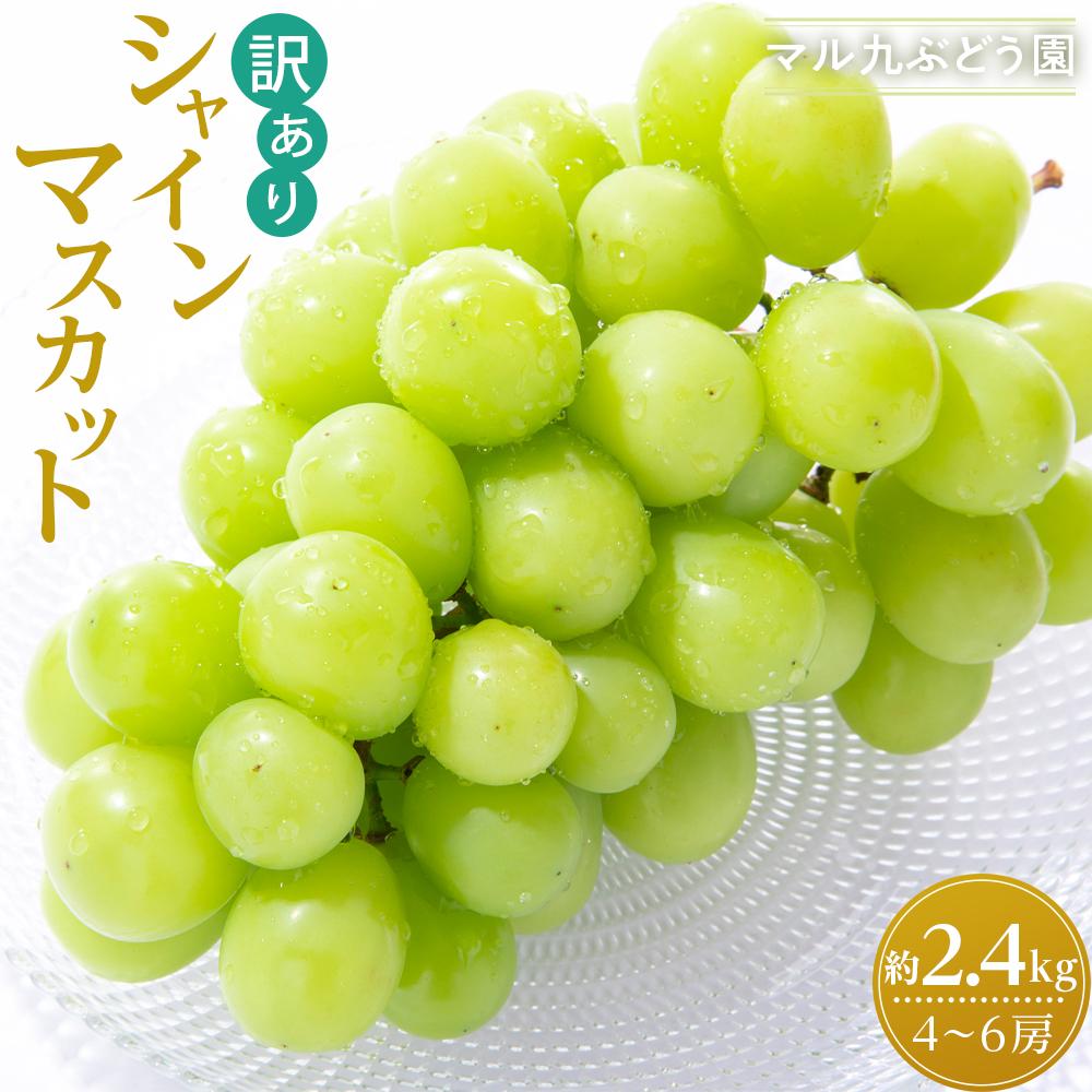 【ふるさと納税】【先行予約】【訳あり・数量限定】 シャインマスカット 約2.4kg 〔2025年8月中旬より順次発送〕 | ぶどう フルーツ 果物 くだもの 食品 人気 おすすめ 送料無料