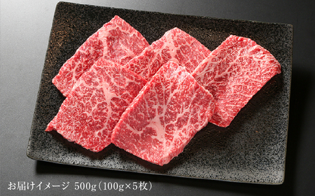 飛騨牛 赤身ステーキ 500g 黒毛和牛 和牛 飛騨高山ミート [MZ027]