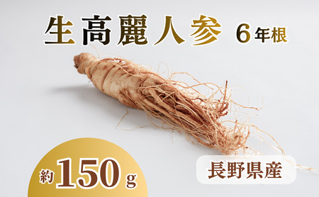 生高麗人参 6年根 大 150g  六年生 生高麗人参