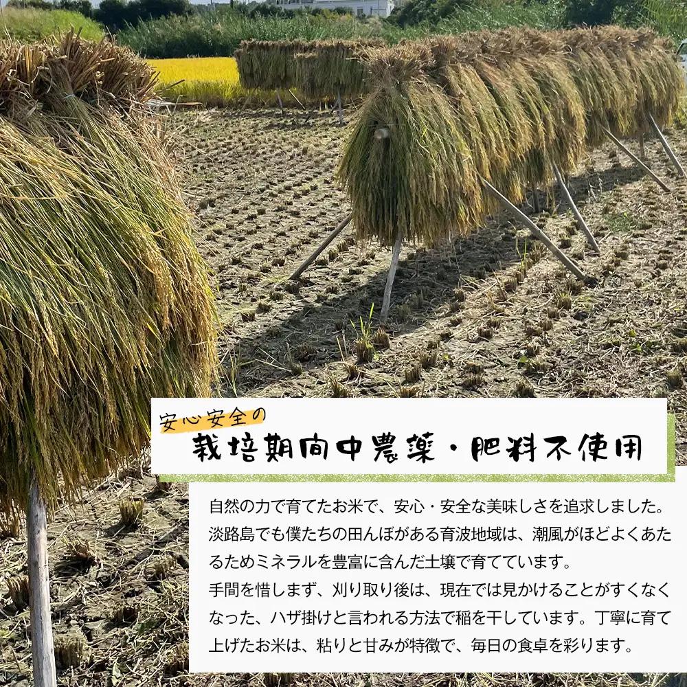 自然栽培　コシヒカリ（玄米）　5kg 《無選別品のため訳アリ》