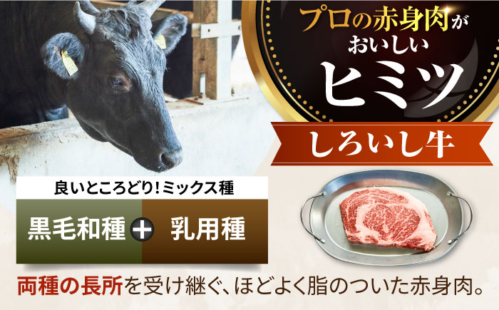 【牧場直送】【6回定期便】佐賀県産しろいし牛 ボリュームたっぷり手ごねハンバーグ 120g×10個【有限会社佐賀セントラル牧場】 [IAH058]