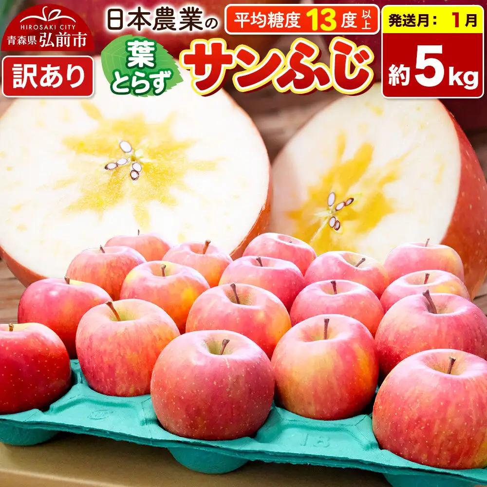 【27年1月発送】りんご 葉とらずサンふじ 【訳あり】 約5kg 平均糖度13度以上 青森県産