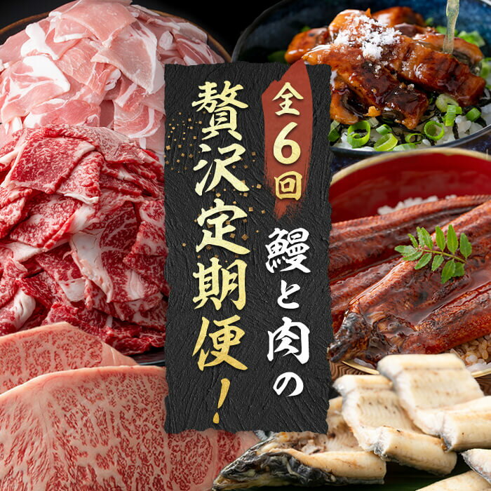 【ふるさと納税】【定期便全6回】鰻と肉の贅沢定期便！鰻とお肉が交互に届くお楽しみ便 定期便 牛肉 ステーキ 鰻 豚肉【楠田淡水】【サンキョーミート】【志布志市観光特産品協会】t0105-005