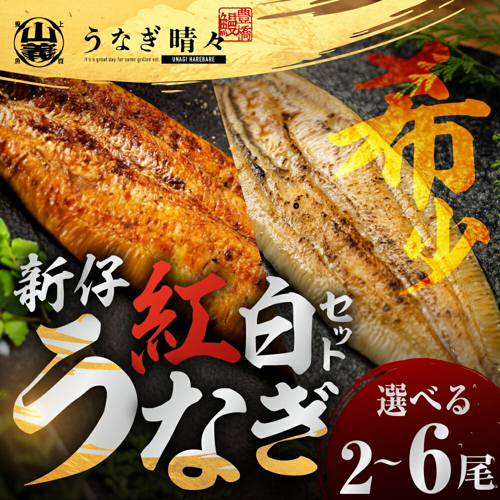 【ふるさと納税】＼★4.5（10月1日時点） 高評価／『うなぎ晴々』紅白セット 希少 蒲焼 白焼 厳選 国産 新仔うなぎ 若うなぎ 鰻 蒲焼 最高級 ひつまぶし 年末年始 お祝い 贈答 土用丑の日 ギフト 冷凍 豊橋うなぎ お取り寄せ 送料無料 豊橋 年末 お歳暮 お中元 お年賀 慶事