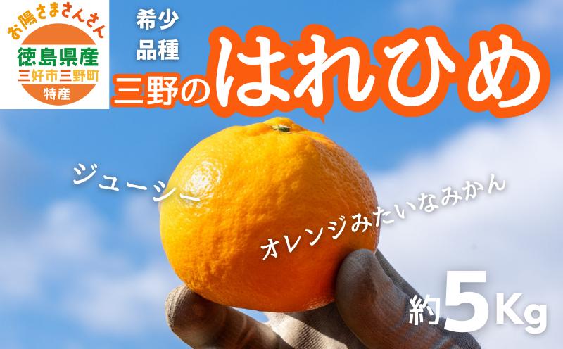 
            みかん 5kg ( 2L ～ 3L 35個 前後 ) 蜜柑 柑橘 数量限定 期間限定 品種 三野 はれひめ ミカン mikan オレンジ ジュース 国産 特産品 贈答 ギフト フルーツ 果実 果物 くだもの グルメ 冷凍 ジューシー おやつ デザート みよし 徳島県 三好市 さんさんみかん
          