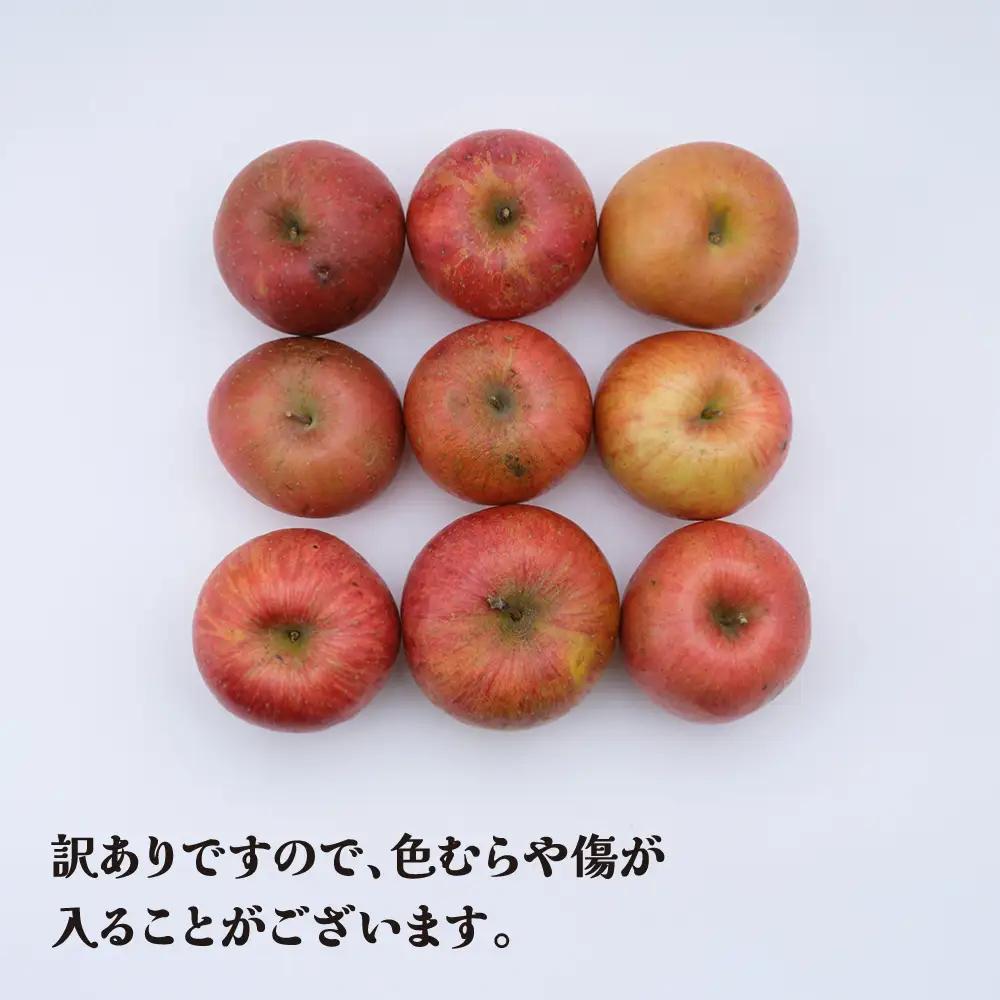 りんご 訳あり 約5kg サンふじ