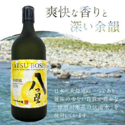 ふるさと納税 八代市 八代不知火蔵「八つ星・和柑橘(クラフトジン)」700ml×3本_133-6475 |  | 01