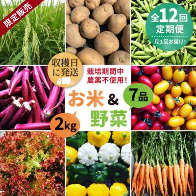 ふるさと納税 糸島市 【全12回定期便】【☆畑直送☆栽培期間中農薬不使用!】お米2kg &amp;野菜7品セット [AGE038]