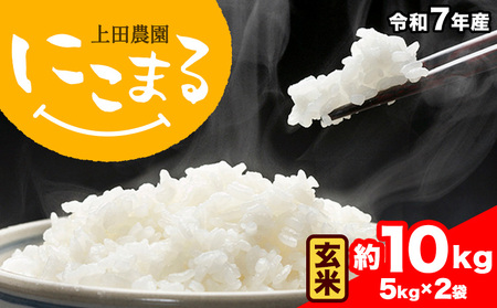 令和7年産 米 にこまる 約10kg (5kg×2袋) こめ コメ 玄米 上田農園《10月中旬-11月中旬頃出荷》 熊本県 荒尾市 米 玄米 こめ st-p
