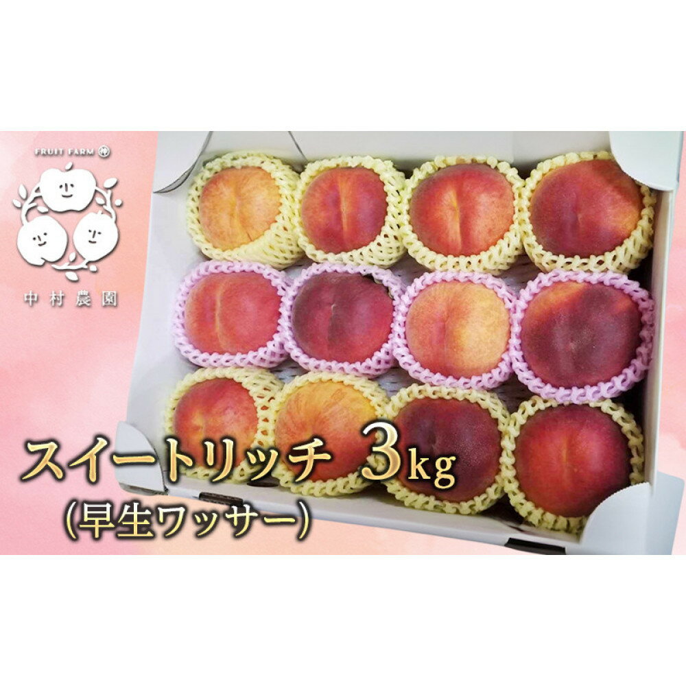 【ふるさと納税】フルーツファーム中村農園【7月下旬～8月中旬発送】スイートリッチ 3kg(中生ワッサー） | ワッサー スイートリッチ 早生 桃 希少品種 ネクタリン プラム 人気 おすすめ 果物 フルーツ 旬 贈答用 ギフト 送料無料 長野県 長野市 信州 信濃 ふるさと納税