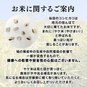 【2026年先行予約】棚田米 こしひかり 白米 10kg 令和8年産| コシヒカリ