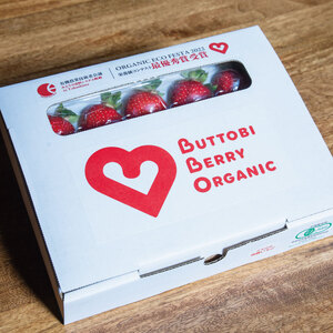 オーガニック いちご 中粒 約36粒 《1月末から5月発送》 有機JAS認証 ORGANIC 甘い 苺 果物 フルーツ 産地直送 新鮮 ストロベリー ジャム スムージー 期間限定 徳島