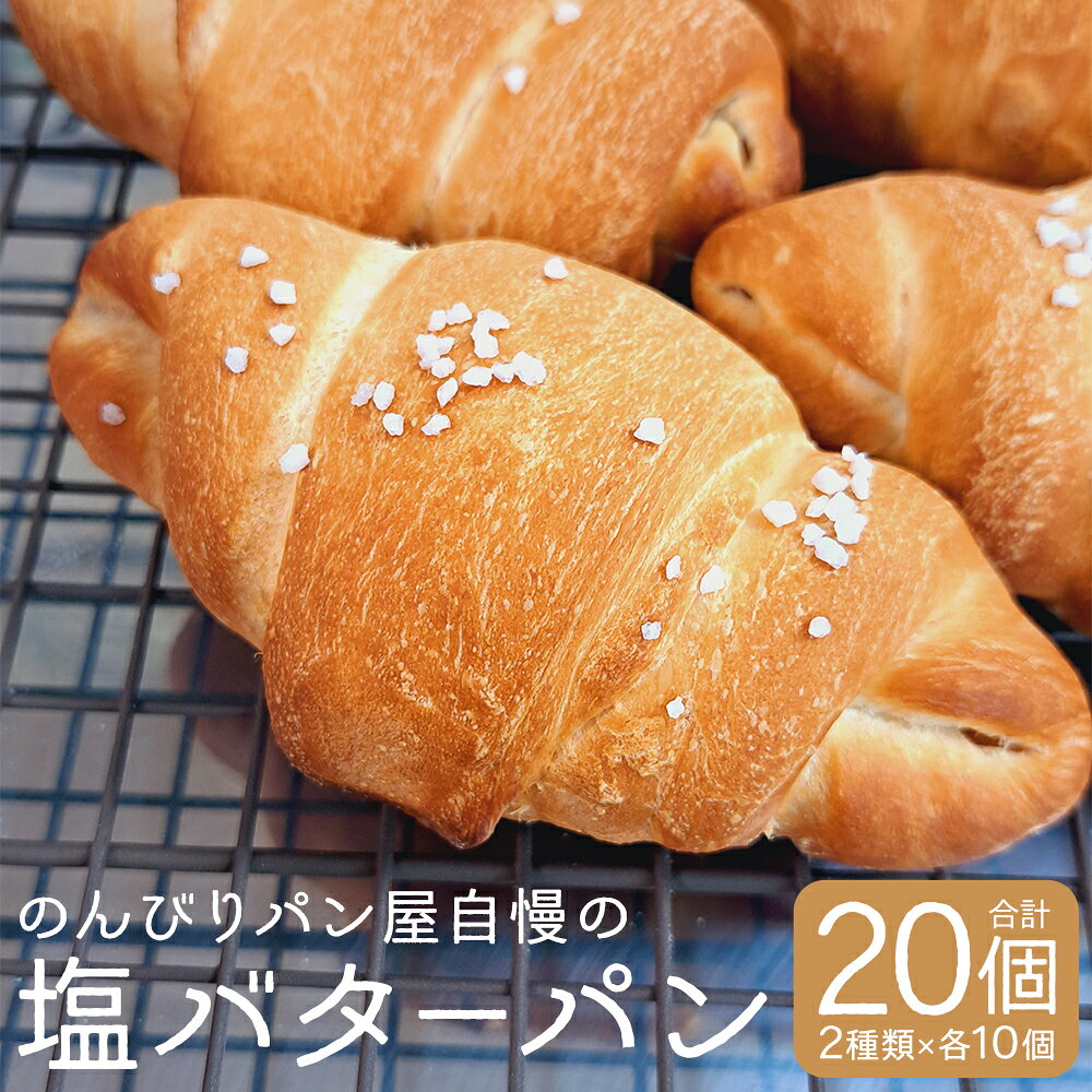 【ふるさと納税】のんびりパン屋自慢の塩バターパン 20個 セット (ハード 10個、ソフト 10個) 2種類 パン ぱん 塩バターパン 塩パン 食べ比べ 食事 朝食 昼食 ランチ おやつ グルメ お取り寄せ 冷凍 九州 福岡県 筑後市 送料無料