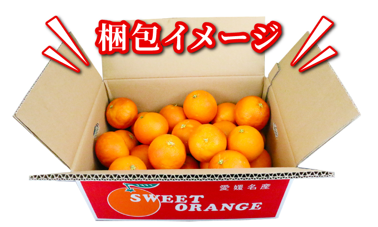 準 贈答用 ブラッドオレンジ タロッコ 5kg 矢野青果 先行予約 オレンジ みかん 柑橘 果物 くだもの オレンジフルーツ フルーツ 濃厚 甘い 甘味 蜜柑 準贈答用 贈答品 贈答 ギフト プレゼン