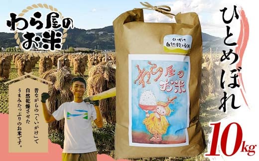 【わら屋のお米】 特別栽培米 ひとめぼれ 10kg 『おがわ藁農園』 米 白米 精米 ご飯 農家直送 山形県 南陽市  [2071]