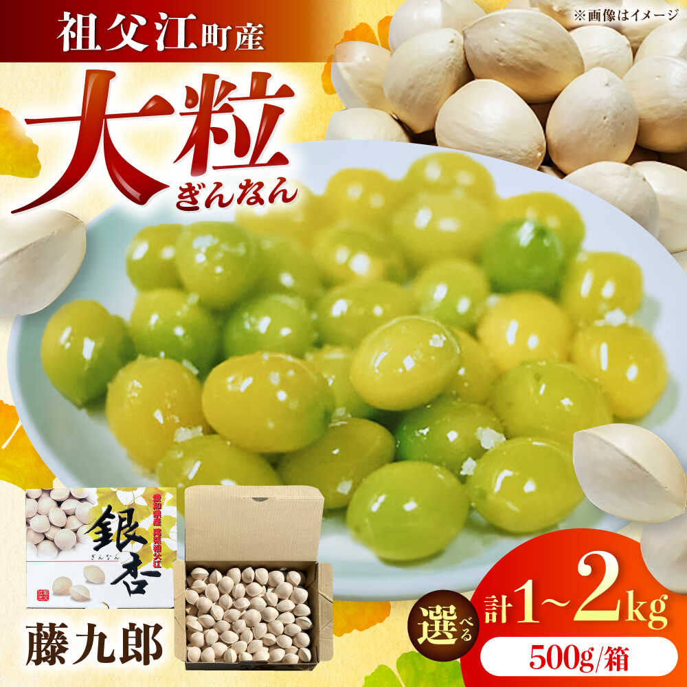 【ふるさと納税】【選べる内容量】 銀杏 祖父江のぎんなん （1kg／2kg） / 大粒 藤九郎 おつまみ 殻付き / 稲沢市 / 光田農園[BMBA001]
