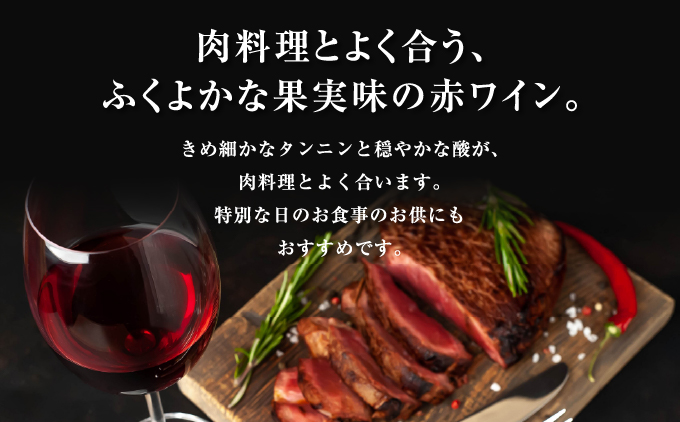 「奥尻ワイン」 ツヴァイゲルトレーベ ミディアムボディ 1本 750ml 「OKUSHIRI Zweigeltrebe」 奥尻ワイナリー | ミディアム ワイン 赤ワイン ベリー ボトル ワイナリー 