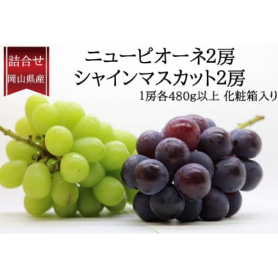 岡山県産 ぶどう詰合/ニューピオーネ2房・シャインマスカット晴王2房(各1房480g以上)【配送不可地域：離島・北海道・沖縄県】【1514905】