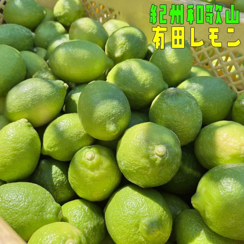 
            紀州和歌山 有田レモン 約3kg［農家直送］［先行予約］［MS68］
          