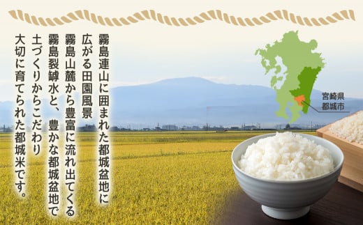 みやこんじょ育ち都城産ひのひかり10kg≪みやこんじょ特急便≫_31-K701-Q