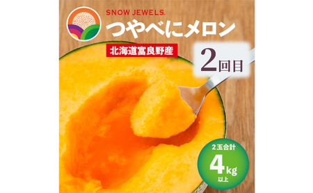 【定期便3回】富良野の夏を独り占め！富良野メロン×至福のアイス "とろける定期便" メロン 赤肉 大玉 果物 アイス アイスクリーム デザート おやつ ご褒美 冷凍 定期便 産地直送【2026年夏～発