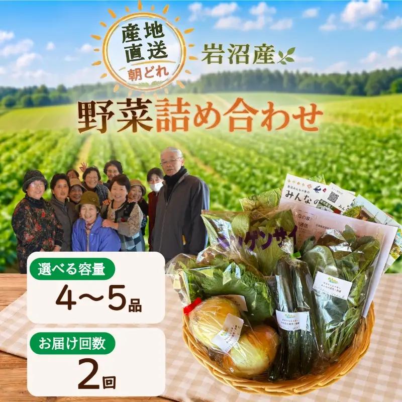 【定期便2ヶ月】 産地直送 朝どれ 新鮮野菜 4～5種類 詰め合わせ セット 野菜