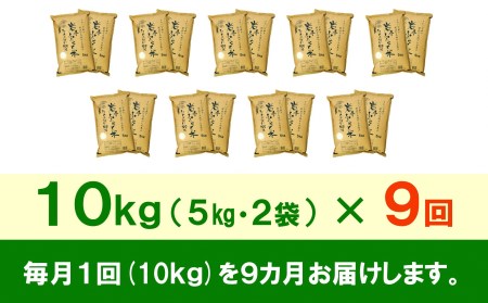 3人に1人がリピーター!☆全9回定期便☆ 岩手ふるさと米 10kg(5㎏×2)×9ヶ月 令和5年産 一等米ひとめぼれ 東北有数のお米の産地 岩手県奥州市産 [U0168]