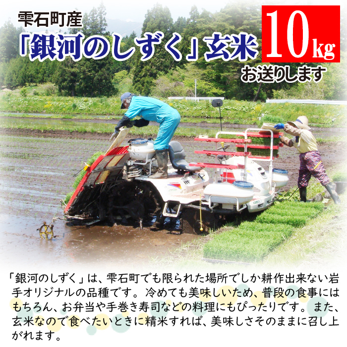 数量限定 岩手県産 銀河のしずく 玄米 10kg 【ユニティファーム】 米 こめ コメ スーパーフード ヘルシー ごはん ご飯 ライス 国産 産地直送 農家直送 期間限定 おにぎり 弁当 おすすめ 人