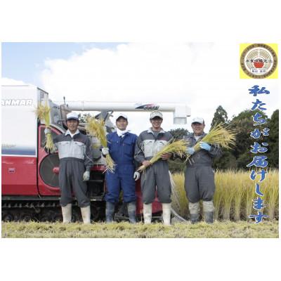 ふるさと納税 村上市 【新米受付・令和8年産米】小分け真空パック 新之助 4.5kg 新潟県村上市産特別栽培米NA4231 |  | 02