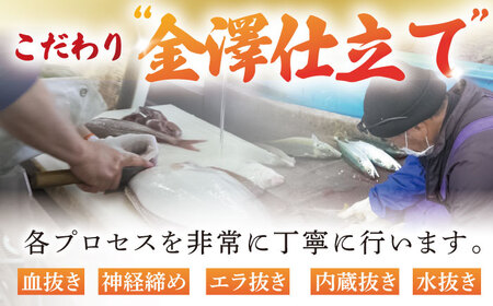 【五島の旬】下処理済み 超速冷凍 鮮魚 5種 柵 セット 旬 魚 冷凍 真空 刺身 五島市 / 金沢鮮魚[PEP018]