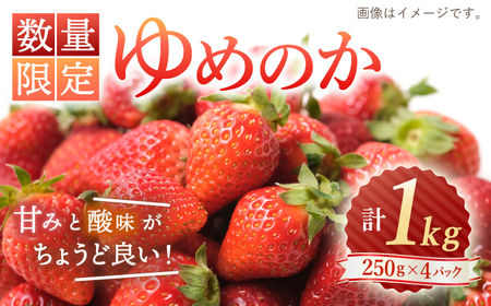 【先行予約】【数量限定】ゆめのか 苺 約1kg（250g×4パック）＜川原農園＞ [CDR009] 長崎 西海 いちご イチゴ 苺 ｲﾁｺﾞ ゆめのか いちご ゆめのか イチゴ ゆめのか苺 いちごイチゴ 苺  いちご イチゴ 苺 ｲﾁｺﾞ ゆめのか いちご ゆめのか イチゴ ゆめのか苺 いちごイチゴ 苺  いちご イチゴ 苺 ｲﾁｺﾞ ゆめのか いちご ゆめのか イチゴ ゆめのか苺 いちごイチゴ 苺  いちご イチゴ 苺 ｲﾁｺﾞ ゆめのか いちご ゆめのか イチゴ ゆめのか苺 いちごイチゴ 苺  いちご 