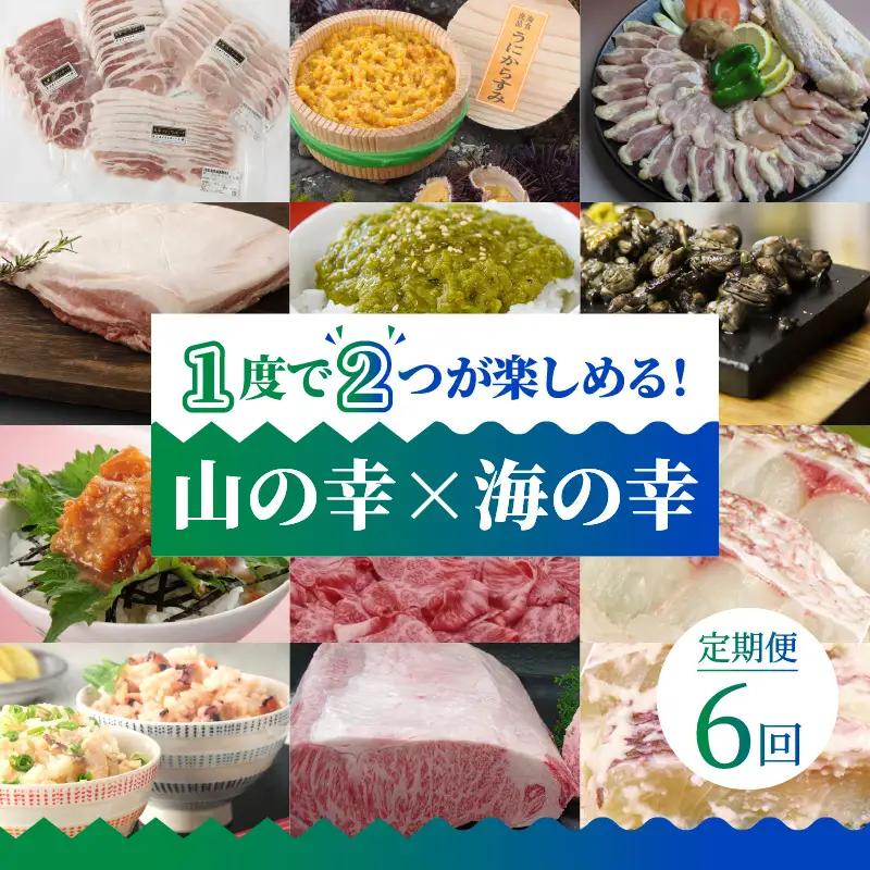S999-T09B_【定期便6回】1度で2つが楽しめる！山の幸 × 海の幸