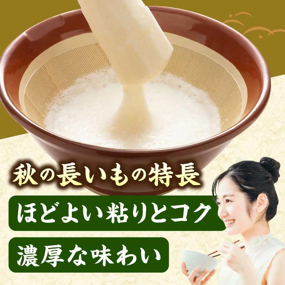 【2026年11月下旬以降順次発送】秋掘り 長いも 5kg  |  長いも 秋野菜 野菜 やさい 北海道 産地直送 |  道の駅 真狩フラワーセンター[BPAM026]