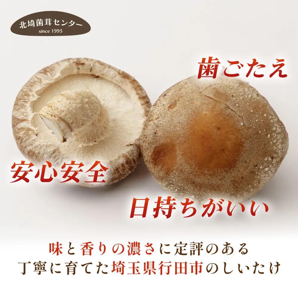 行田産こだわり生椎茸 約900g No.135
