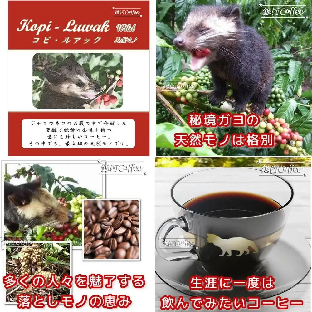 【12203-0103】生涯で飲みたい 世界３大珈琲(豆のまま)100g×3種 銀河コーヒー 
