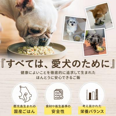 ふるさと納税 薩摩川内市  完全国産・獣医師オススメの愛犬の安心ごはん【バディフード】4種セット AS-757 |  | 01